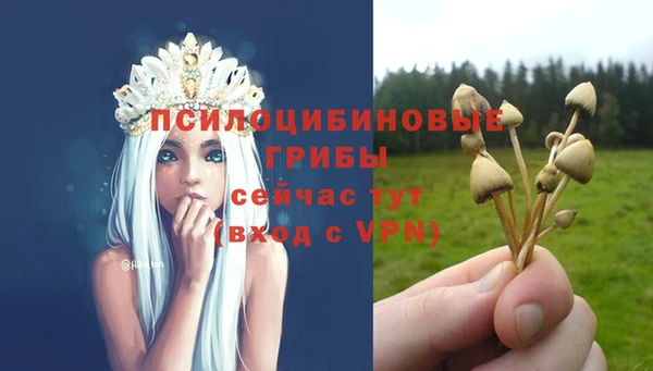 стафф Верея