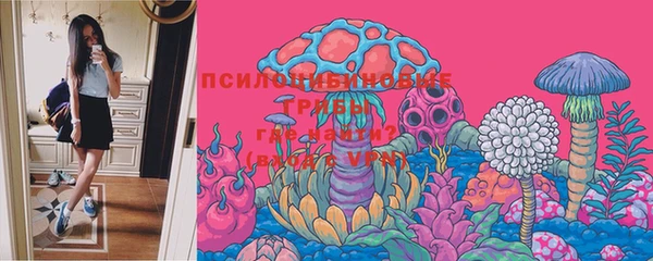 стафф Верея