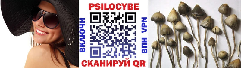 Псилоцибиновые грибы мухоморы  где купить наркоту  Новое Девяткино 